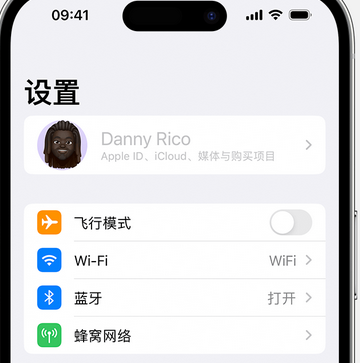 石排镇appleID维修服务iPhone设置中Apple ID显示为灰色无法使用