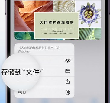 石排镇apple维修中心分享iPhone文件应用中存储和找到下载文件