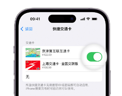 石排镇apple维修点分享iPhone上更换Apple Pay快捷交通卡手绘卡面 