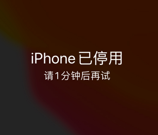 石排镇苹果手机维修分享:iPhone 显示“不可用”或“已停用”怎么办？还能保留数据吗？ 