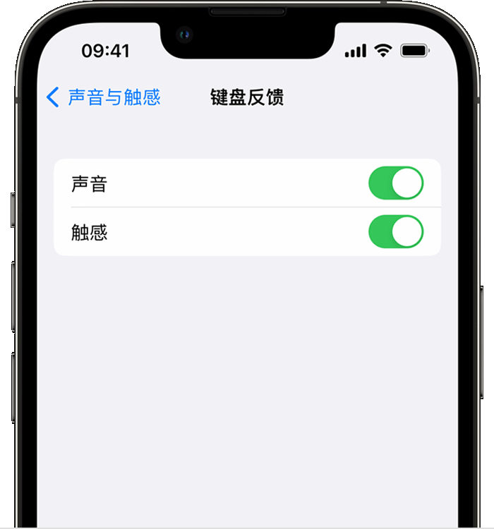 石排镇苹果14维修店分享如何在 iPhone 14 机型中使用触感键盘 