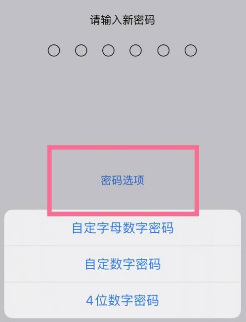 石排镇苹果14维修分享iPhone 14plus设置密码的方法 