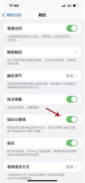 石排镇苹果手机维修分享iPhone手机如何设置摇一摇删除文字 